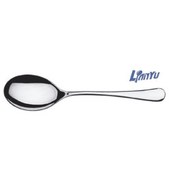 Lianyu 1pc Serving Spoon Long