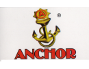 Anchor 2